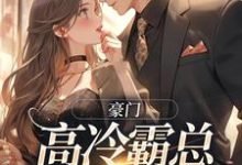 苏颜汐傅霖宸小说豪门：高冷霸总别太宠章节免费阅读-瑞奇文学