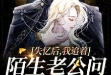 失忆后，我追着陌生老公问相爱过程姜听杳盛宥礼，失忆后，我追着陌生老公问相爱过程在线无弹窗阅读-瑞奇文学