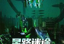 小说《星路迷途:探索异界文明》在线章节阅读-瑞奇文学