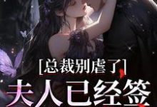 总裁别虐了，夫人已经签了离婚书小说完结版章节免费阅读-瑞奇文学