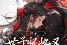 免费在线阅读世子,世子妃她又开始扮可怜了小说的正规网站有哪些?-瑞奇文学