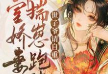 外室娇妾揣崽跑路,世子爷请自重小说的所有章节都能在哪里免费读到?-瑞奇文学