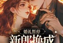 祝卿佳郗闻洲小说白月光婚约作废,机长趁机上位在线阅读章节-瑞奇文学