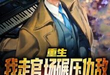 重生：我走官场碾压仇敌，登顶巅峰小说的免费阅读版本在哪里可以找到？-瑞奇文学