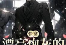 已完结小说《【快穿】漂亮炮灰的恶人进化指南》章节在线阅读-瑞奇文学