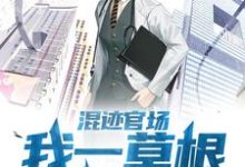 小说完整版《混迹官场：我一草根平步青云》免费阅读-瑞奇文学