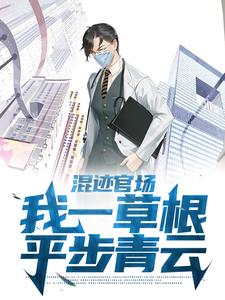 小说完整版《混迹官场：我一草根平步青云》免费阅读