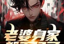 老婆身家都千亿了,我该不该躺?林辰许梦瑶小说在线章节免费阅读-瑞奇文学