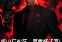 王刚秦雅妮小说《婚内玩的花，离后哭成渣！》在线阅读-瑞奇文学