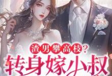 渣男攀高枝？转身嫁小叔被宠哭小说的免费电子版在哪里可以下载或阅读？-瑞奇文学