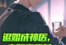 求退婚成神医，未婚妻跪着求我复合小说的全文免费阅读链接-瑞奇文学