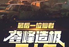 夏枫小说免费阅读完整版-瑞奇文学