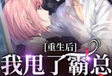 宁秋棠江晟小说免费阅读完整版-瑞奇文学