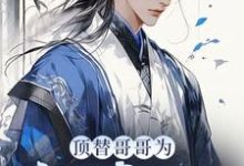 《顶替哥哥为大理寺少卿，惊呆众人》小说章节列表免费试读，陈昭苏绫月小说在线阅读-瑞奇文学