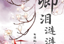 哪里能找到卿泪涟涟小说的最新更新和免费章节？-瑞奇文学