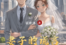 妻子的谎言番外篇小说阅读，妻子的谎言番外篇完结版-瑞奇文学