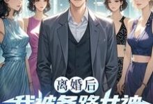 离婚后我被各路女神撩疯了!叶修远白若雪小说完结版章节在线阅读-瑞奇文学