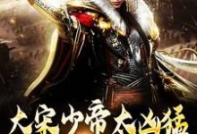 完整版的大宋少帝太凶猛,胡虏跪求放过小说在哪里可以免费读到?-瑞奇文学