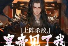 完整版小说《上阵杀敌，皇帝见了我都得低头》免费阅读-瑞奇文学