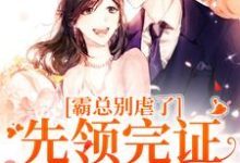 霸总别虐了！先领完证再打渣男小说，霸总别虐了！先领完证再打渣男在线阅读-瑞奇文学