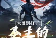 大哥别打了！圣主的心都碎了小说阅读，大哥别打了！圣主的心都碎了完结版-瑞奇文学