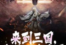 完整版《来到三国，这乱世我来平》小说免费阅读-瑞奇文学