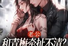 老公和青梅牵扯不清？我放你自由！小说全文阅读需要付费吗？寻找免费资源-瑞奇文学