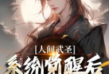免费在线阅读人间武圣，系统觉醒后我轻松达到小说的正规网站有哪些？-瑞奇文学