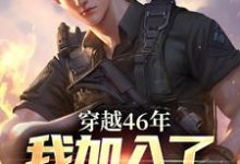 穿越46年，我加入了人民的队伍罗林小说在线章节免费阅读-瑞奇文学