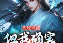 系统奇葩，但我确实无敌了许清风小说在线章节目录阅读最新章节-瑞奇文学