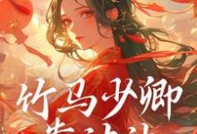 叶皖宁陆九章小说完整版《竹马少卿靠边站，权相才是真爱》免费阅读-瑞奇文学