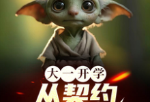 林峰小布小说完整版《大一开学，从契约哥布林开始》免费阅读-瑞奇文学