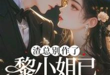 小说《渣总别作了，黎小姐已另嫁豪门》章节免费阅读-瑞奇文学