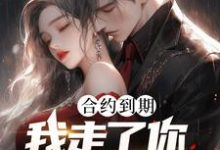 《合约到期,我走了你才求原谅?》全集免费在线阅读(白志)-瑞奇文学