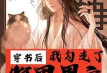 舒晚小说穿书后我勾走了腹黑男主章节免费阅读-瑞奇文学