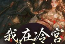 我在冷宫养皇子小说的无弹窗阅读体验，寻找免费阅读网站-瑞奇文学