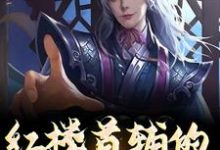 小说《红楼首辅的励志人生》章节免费阅读-瑞奇文学