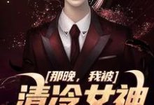 免费在线阅读那晚,我被清冷女神强吻了小说的正规网站有哪些?-瑞奇文学