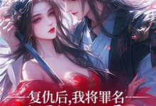 复仇后，我将罪名嫁祸给漓王这本小说怎么样？免费在线阅读试试-瑞奇文学