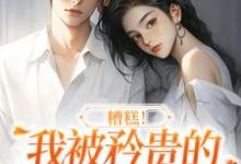 小说《糟糕！我被矜贵的大小姐缠上了》完整版章节免费阅读-瑞奇文学