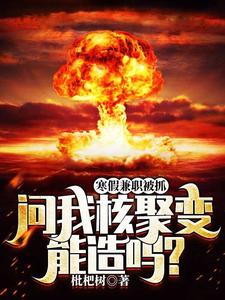 寻找寒假兼职被抓，问我核聚变能造吗？小说的最新更新章节