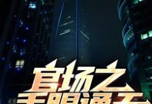 官场之手眼通天秦峰胡佳芸小说完结版章节在线阅读-瑞奇文学