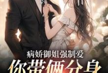 江辞小说在线章节免费阅读（病娇御姐强制爱，你带俩分身过分了无弹窗无删减）-瑞奇文学