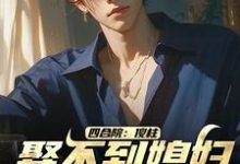 小说《四合院：傻柱，娶不到媳妇找我干啥》在线章节阅读-瑞奇文学