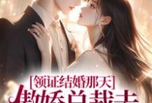 领证结婚那天,傲娇总裁去陪白月光了(墨承璟路桐)完整版在线免费阅读-瑞奇文学