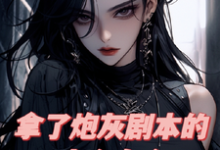 拿了炮灰剧本的爽文女主完整版小说，拿了炮灰剧本的爽文女主最新章节-瑞奇文学