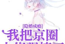 《隐婚成瘾，我把京圈大佬强撩了》小说免费阅读完整版-瑞奇文学