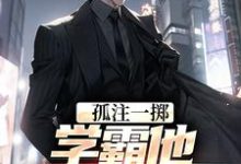 孤注一掷：学霸他官运亨通苏誉乔慧雅小说在线章节目录阅读最新章节-瑞奇文学