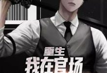 重生：我在官场脚踏实地谋发展免费阅读，重生：我在官场脚踏实地谋发展章节目录-瑞奇文学