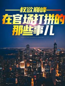 权欲巅峰：在官场打拼的那些事儿免费阅读，权欲巅峰：在官场打拼的那些事儿章节目录